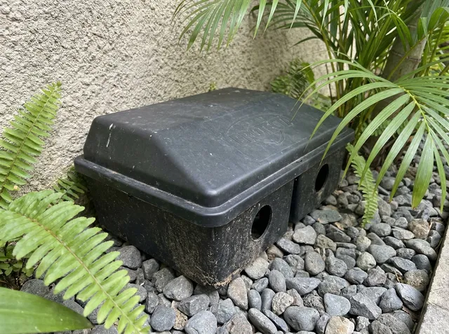Black rodent bait station along a Bali villa wall